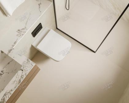簡約衛(wèi)浴