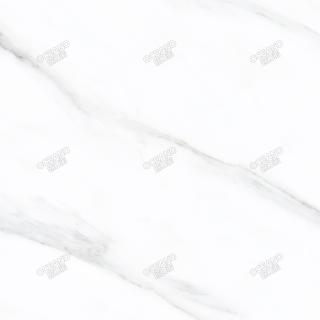 GENP06640