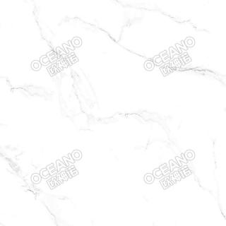 EAD00380IAS卡拉拉白