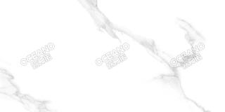 SNP001G
