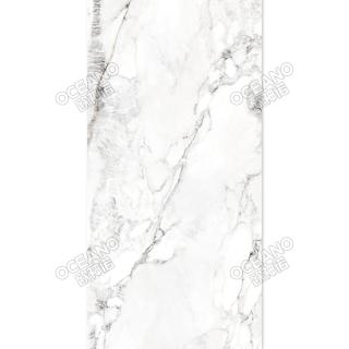 SCM01290180DE特級(jí)雪花白