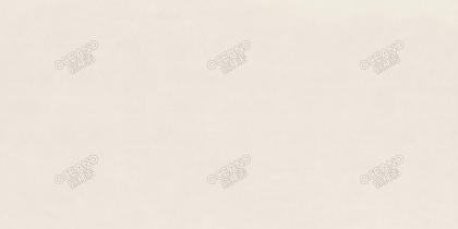 A+CZH20190180XL安迪米黃