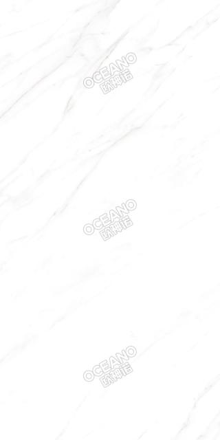 ELS010975150S