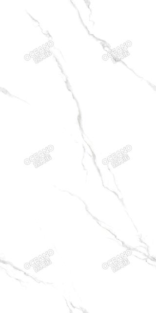 EBA00160120X意大利白