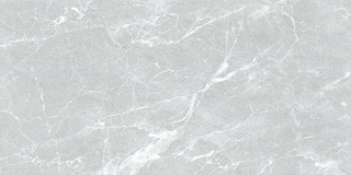 YL1027B