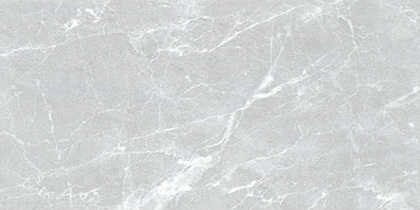 YL1027B