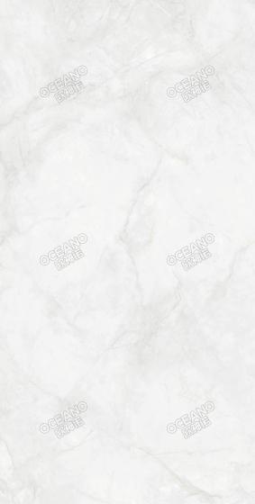 GEBN00175150S寒江雪
