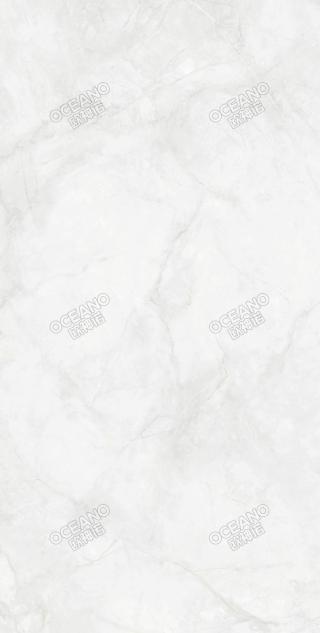 GEBN00175150S寒江雪