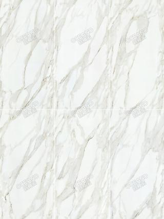 YBFCS02390180EA魚(yú)肚白