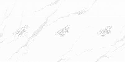 蓬萊白