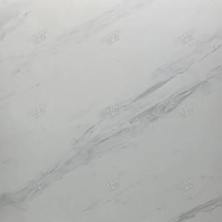 GEL02680S