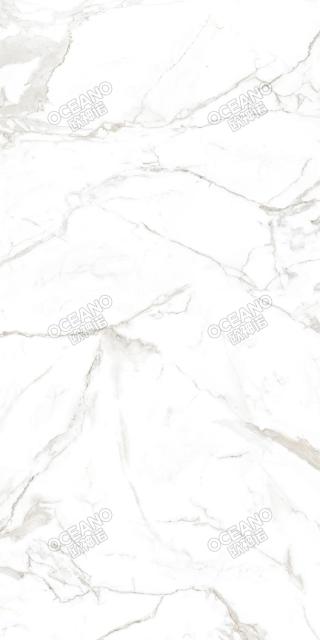 ELX00190180S