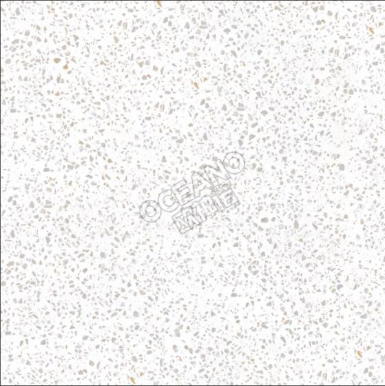 GENP06160