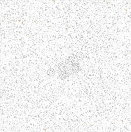 GENP06160