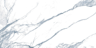 FLC009990180S