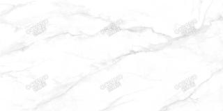 ELC01090180S
