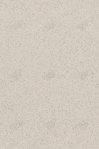 F1107SSS摩斯灰