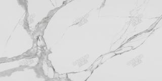 ELP02390180S