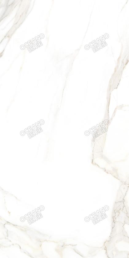 SKY00190180S魚(yú)肚白
