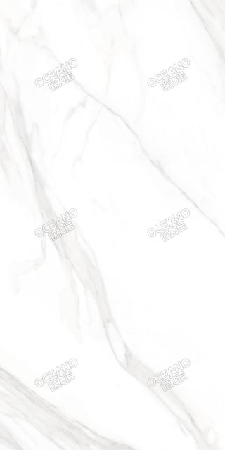 GELS055975150S