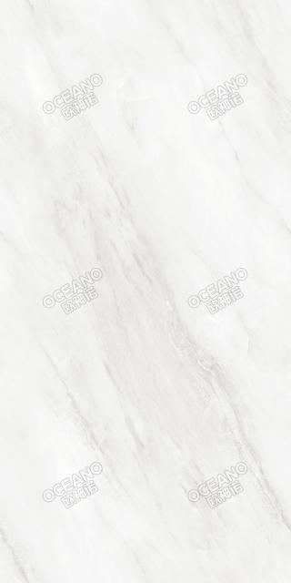 EBS0B715E西西里白