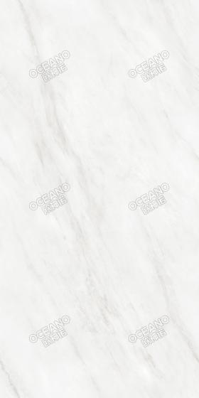 EBS0B715E西西里白