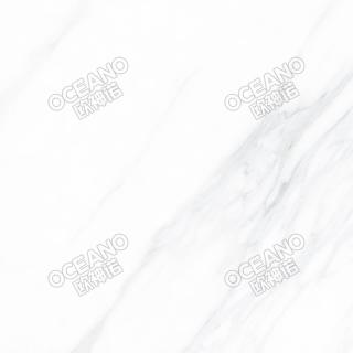 ELP04380E