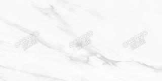 SNP002G