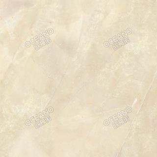 SCS21190DE
