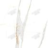 SKK00190S卡拉拉白
