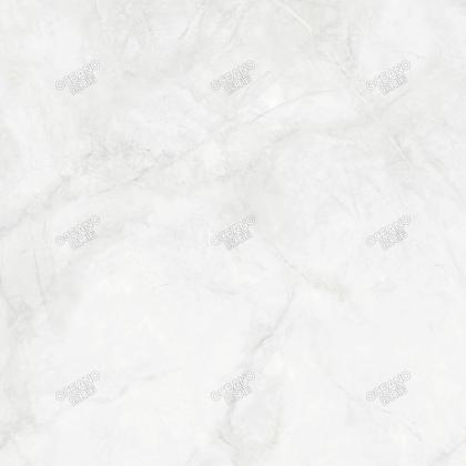 EBN00180S寒江雪