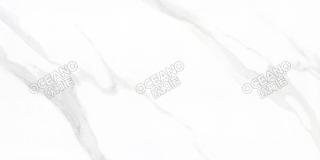 GELS051960120S伊利沙白