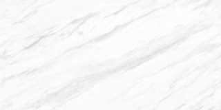YL0181A