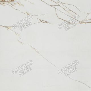 ELP06780E