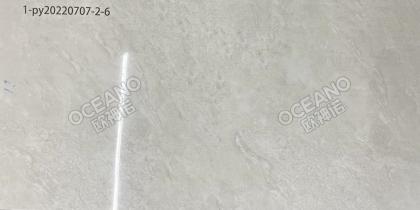 GELU11623060ZS