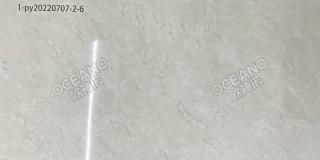 GELU11623060ZS