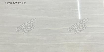 GELU0223060ZS