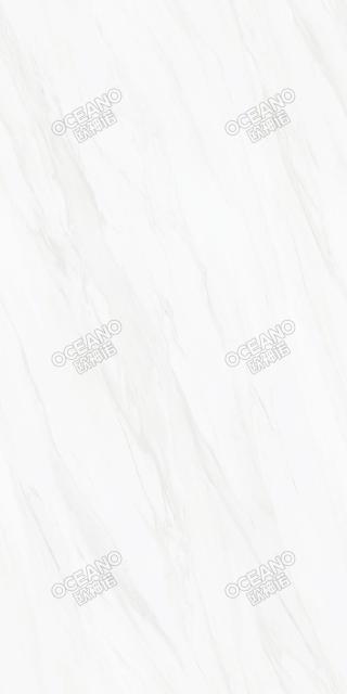 A+FYM01990180S江山白