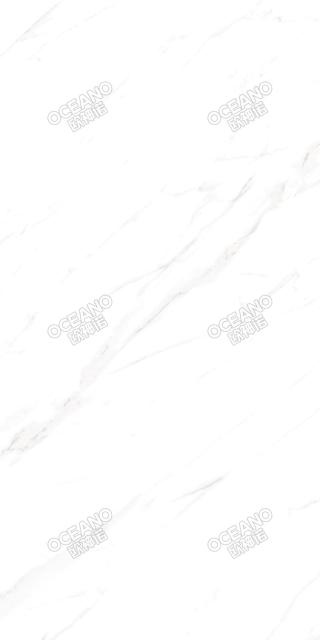 ELS01090180S極地白