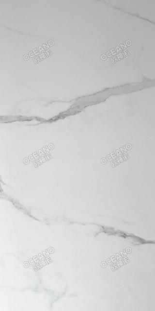 ELA00890180S