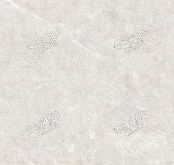 GENP132260