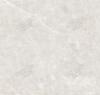 GENP132260