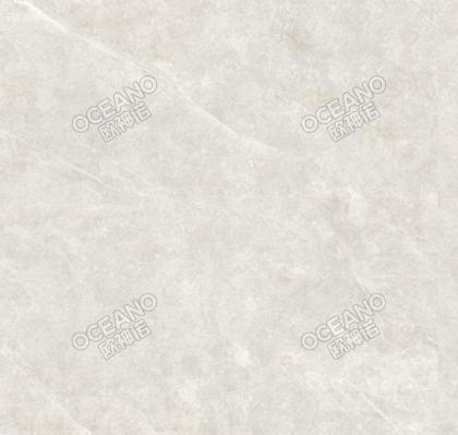 GENP132260