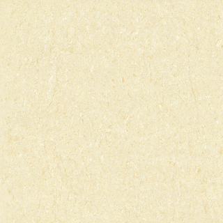 OD21560P