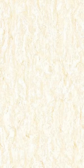 YL213R