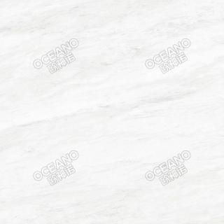 ELP06390S