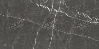 ELP961560120S