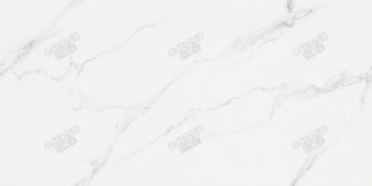 FZZ00360120GL云海白