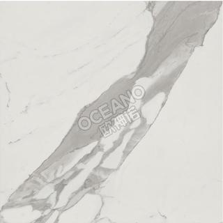 ELP055660S