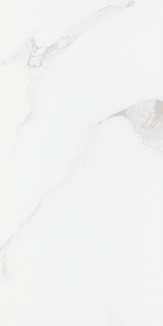 YL0497A